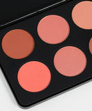 BH Cosmetics Nude Blush 10 Color Blush Palette